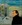 Glenn Gould, Öl, LW